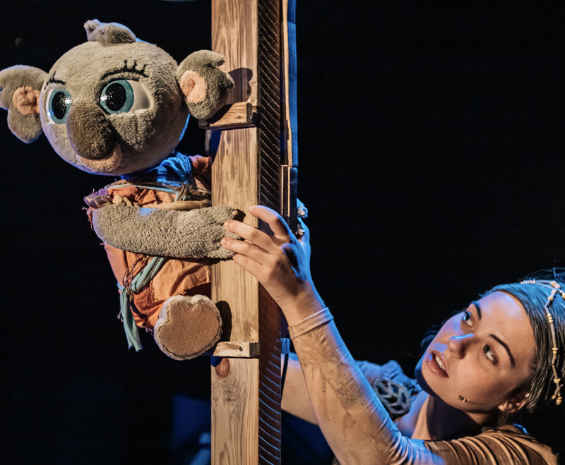 BUNJI, LA PEQUEÑA KOALA